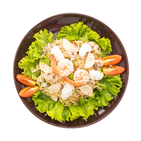 Tossed Salad w/ Chicken Cutlet Mozzarella